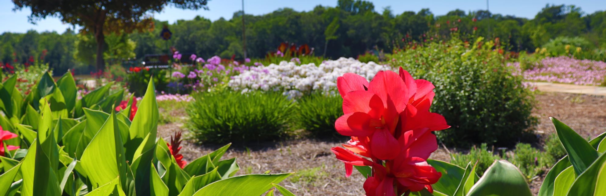 Lake Forest Park with blooming flowers and lake